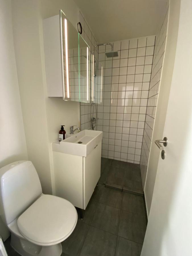 Central Copenhagen Apt With Balcony, Free Parking W Elevator エクステリア 写真